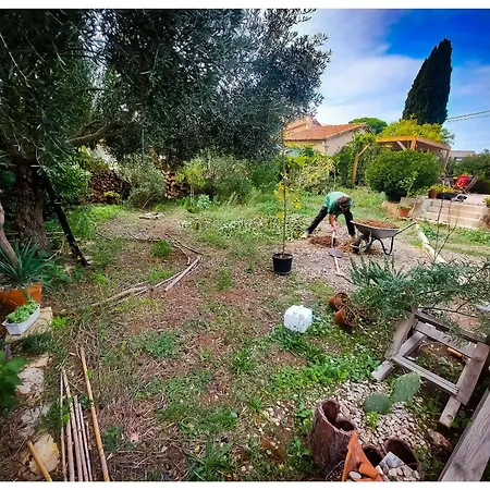 Dans Grande Maison Paisible Paulhan